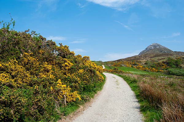 コネマラ（コナマーラ）国立公園 / Connemara National Park