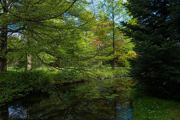 アイルランド国立植物園 / National Botanic Gardens