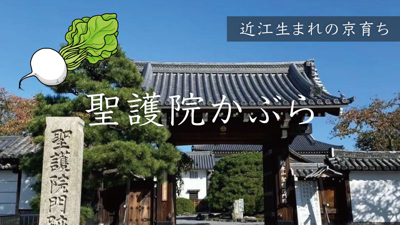 滋賀から伝わり京都の聖護院あたりで栽培されたという聖護院かぶら