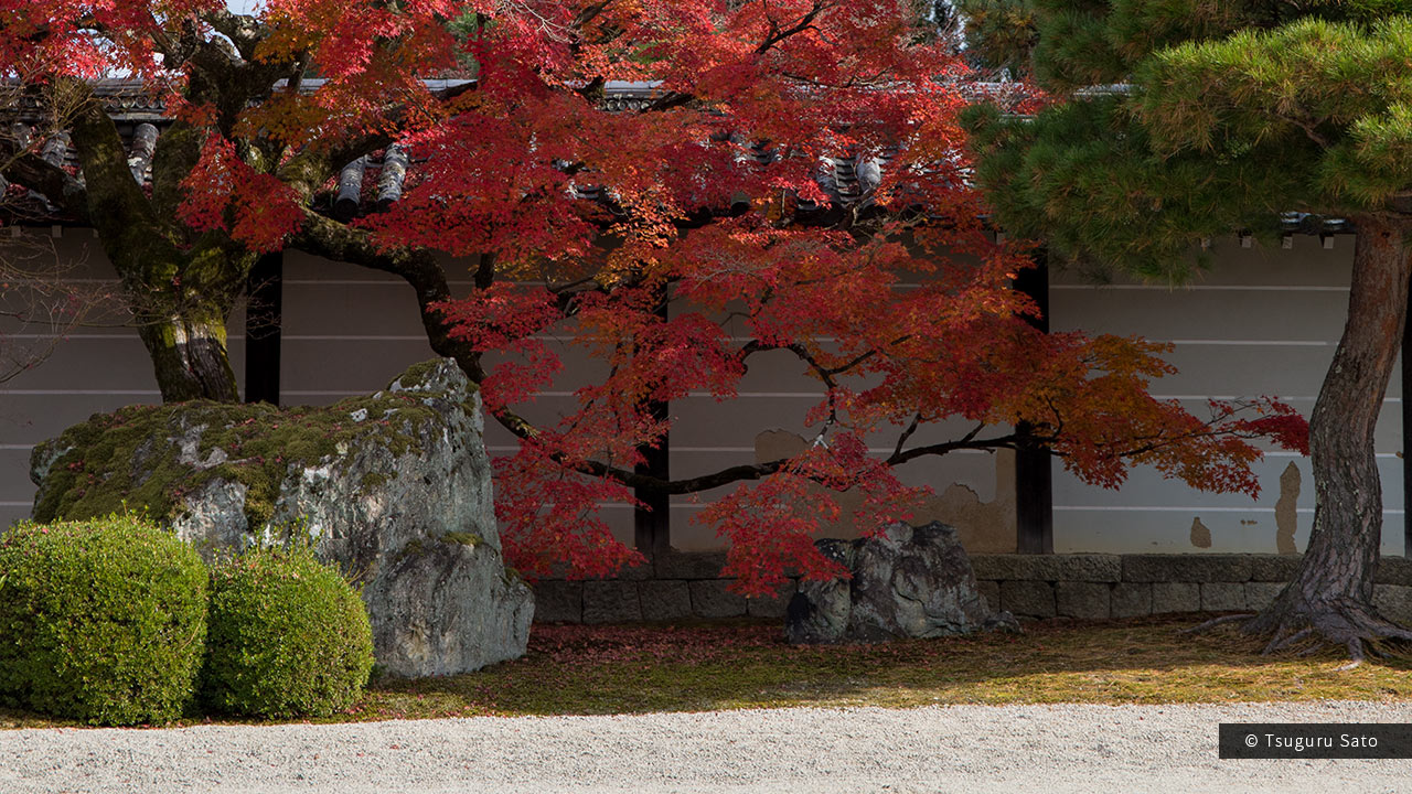 屋敷の日本庭園